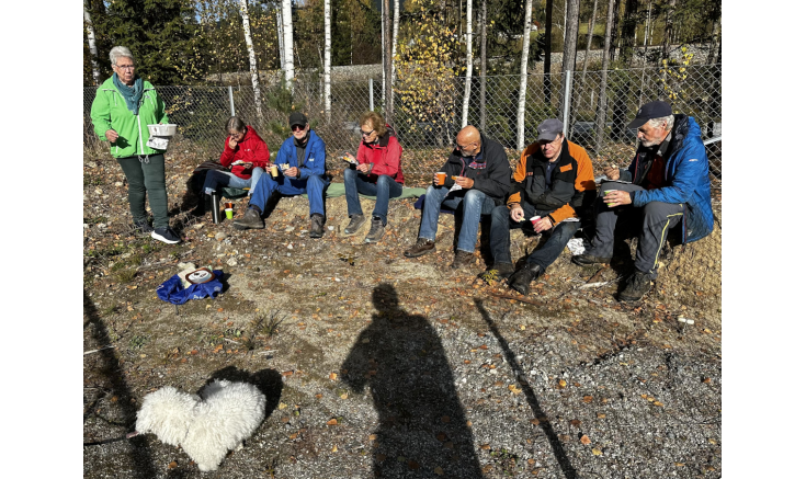 Dugnad - Opprydding etter fjorårets uvær «Hans»